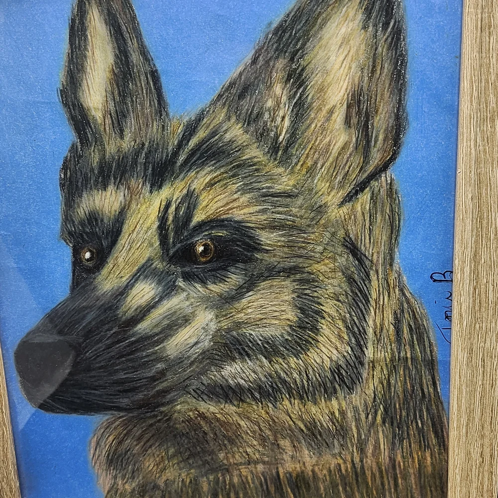 Hand Crafted Framed German Shepherd Colored Pencil Drawing